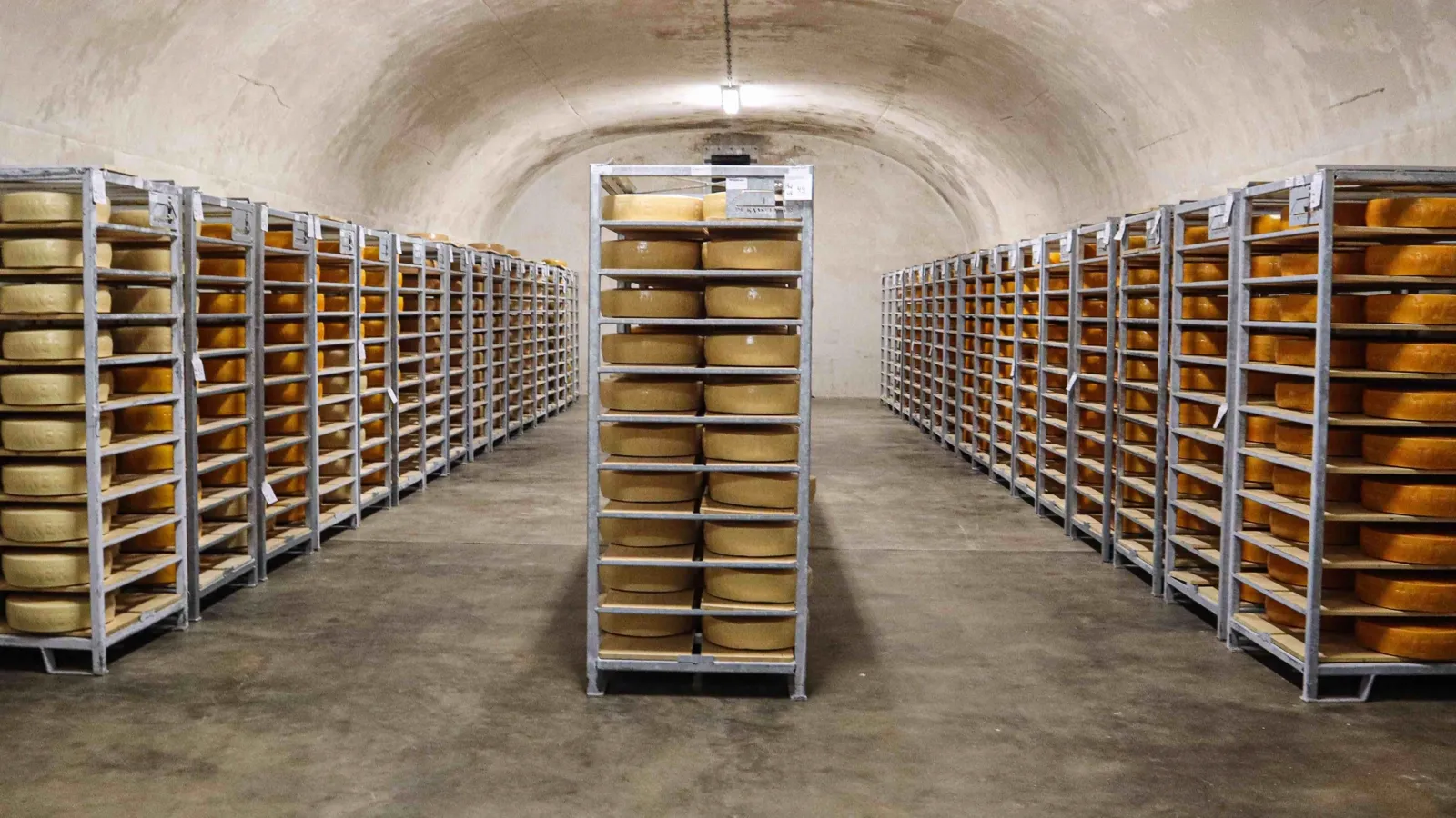 Kaasmeesters aan het werk bij De Kaasbunker tijdens het rijpen van kaas.