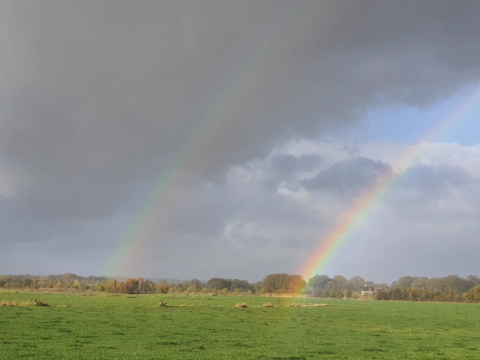 Sfeervol detailbeeld van Mariëlle Kwakkel Energetische Therapie.